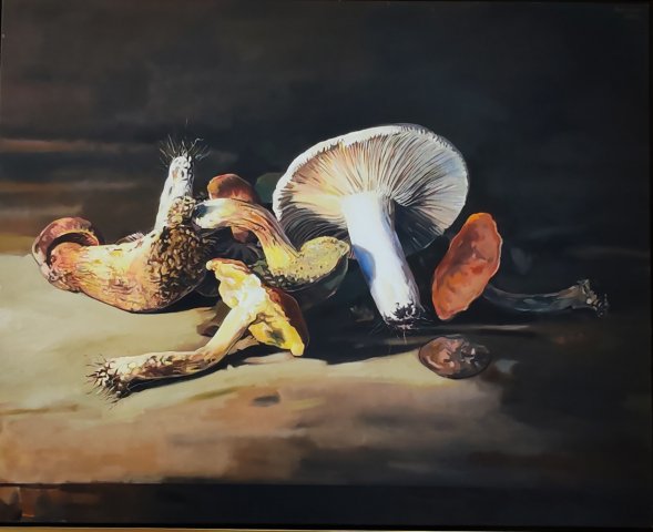 Adorján Attila Gombák 80x100cm Olajfestmény 5000euro